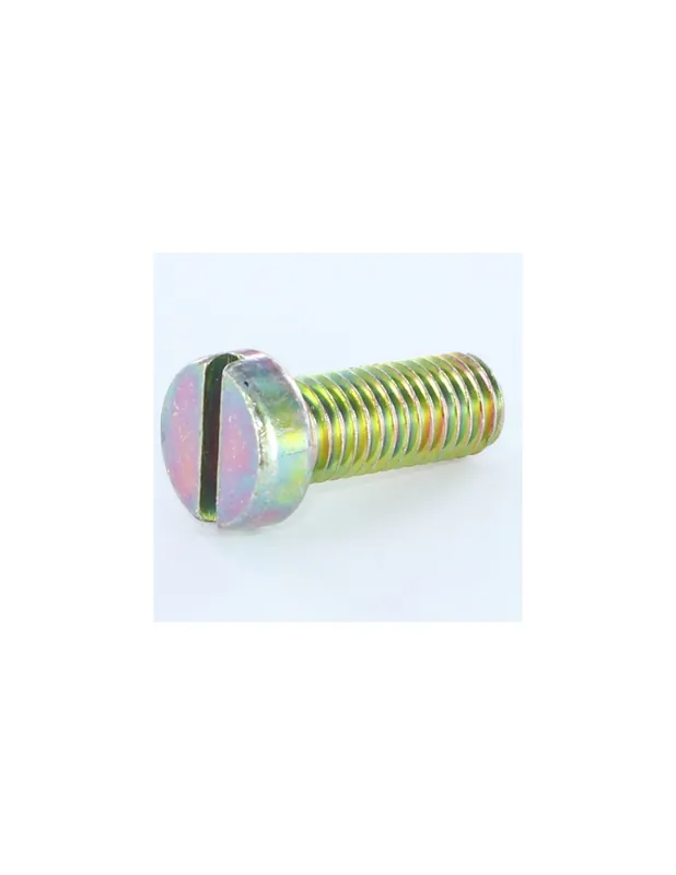 Solange Der Vorrat Reicht 1 x Metallschrauben Zylindrischer Flachkopf Gespalten M6X40 Dichromat